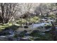 1534 Sewells Creek Road, O’connell NSW 2795