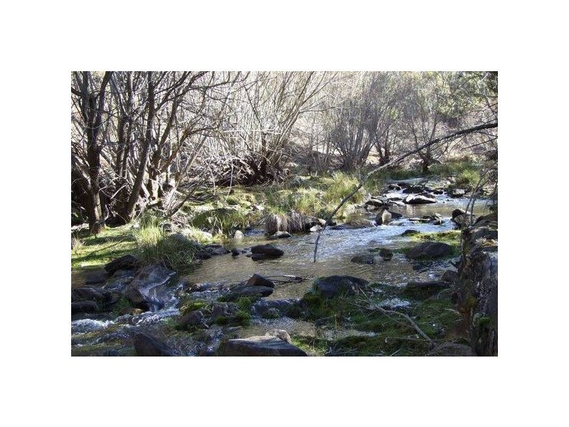 1534 Sewells Creek Road, O’connell NSW 2795