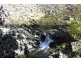 1534 Sewells Creek Road, O’connell NSW 2795