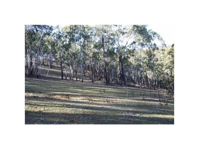 1534 Sewells Creek Road, O’connell NSW 2795