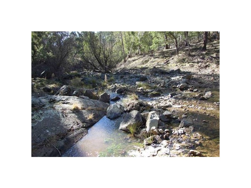 1534 Sewells Creek Road, O’connell NSW 2795