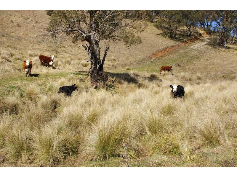 Oberon NSW 2787