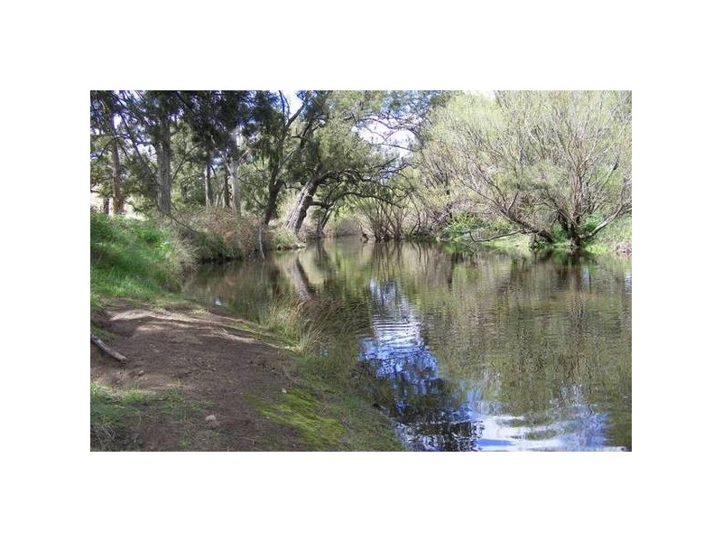 156 Cresent Orchard Road, O’connell NSW 2795