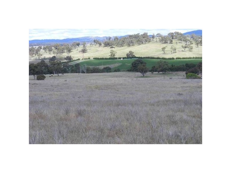 156 Cresent Orchard Road, O’connell NSW 2795