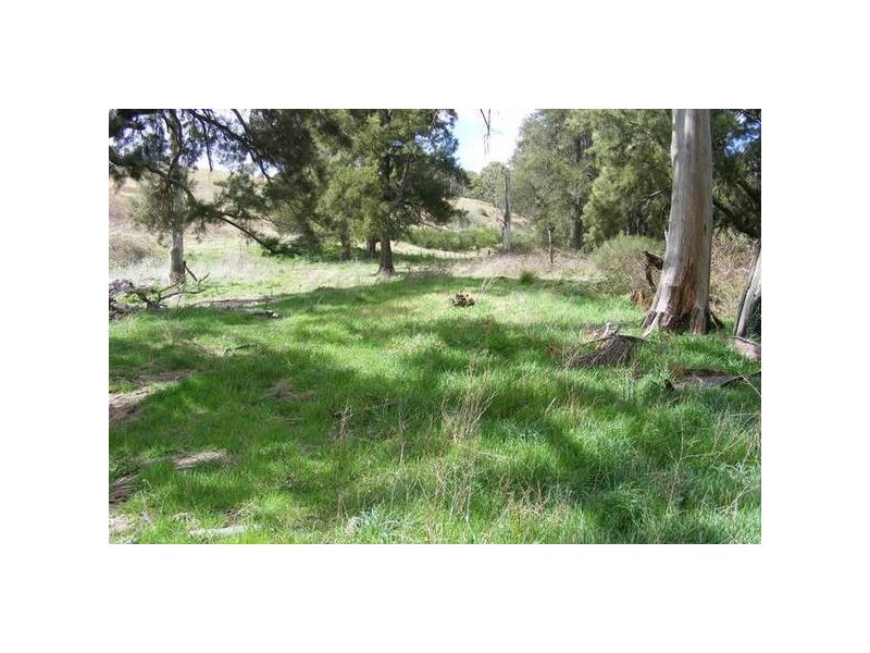 156 Cresent Orchard Road, O’connell NSW 2795