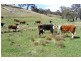 Oberon NSW 2787