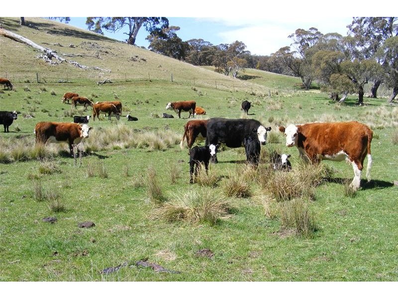 Oberon NSW 2787