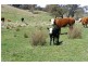 Oberon NSW 2787