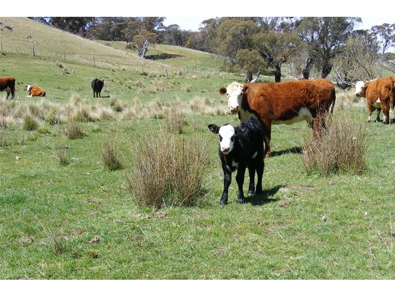 Oberon NSW 2787