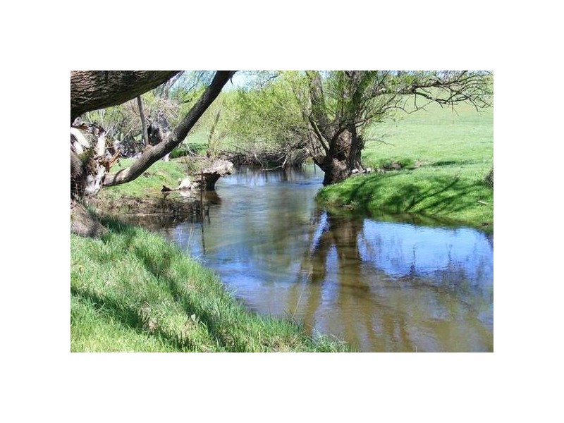 356 Swallows Nest Rd, Oberon NSW 2787