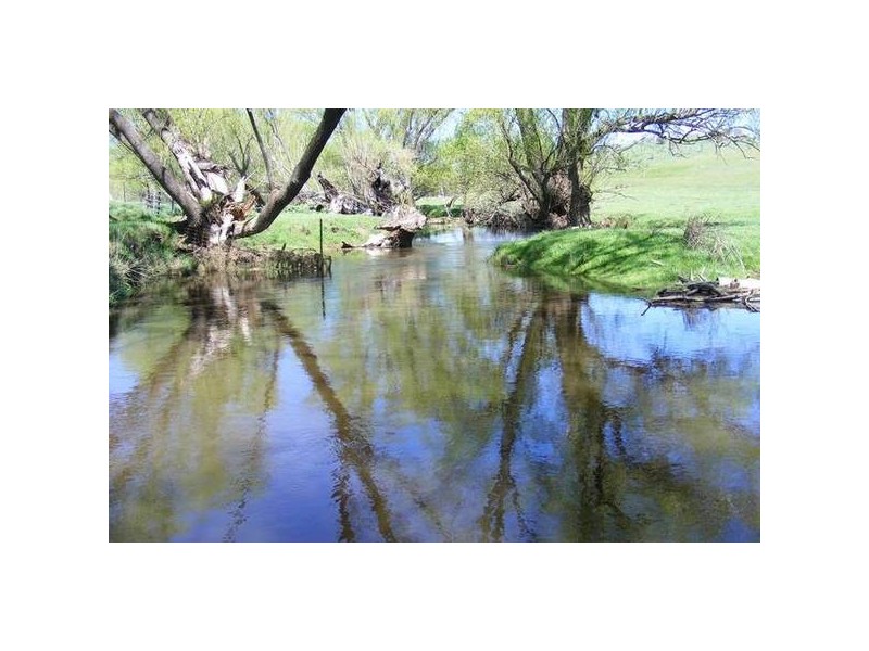 356 Swallows Nest Rd, Oberon NSW 2787