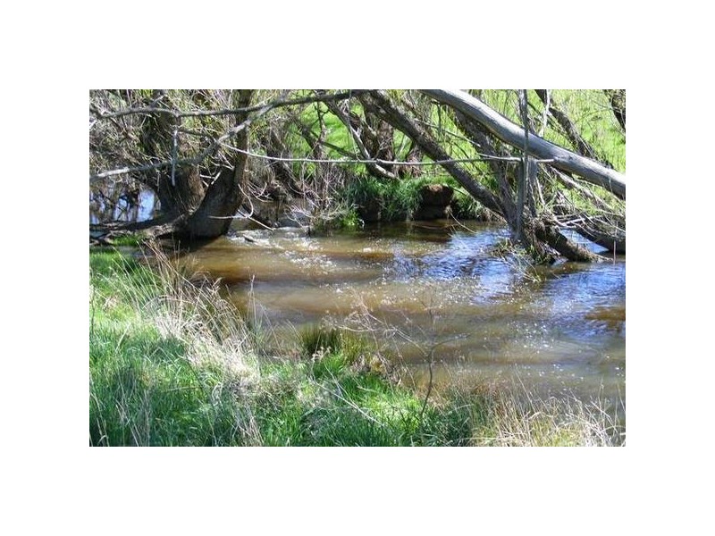 356 Swallows Nest Rd, Oberon NSW 2787