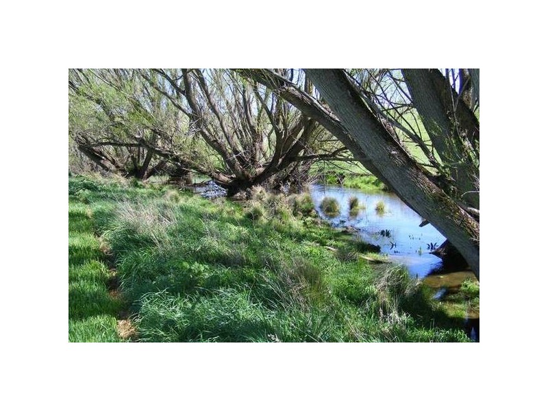 356 Swallows Nest Rd, Oberon NSW 2787