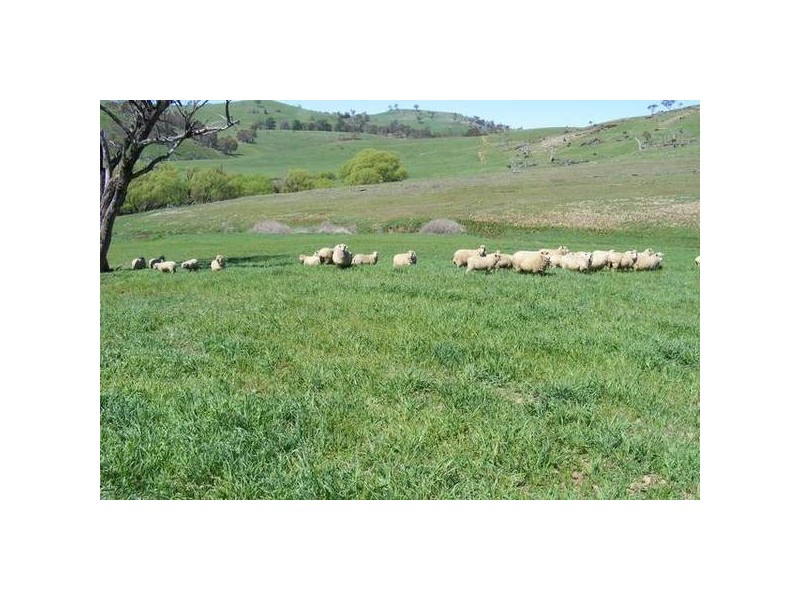 374 Swallows Nest Road, Oberon NSW 2787