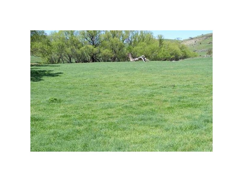 374 Swallows Nest Road, Oberon NSW 2787