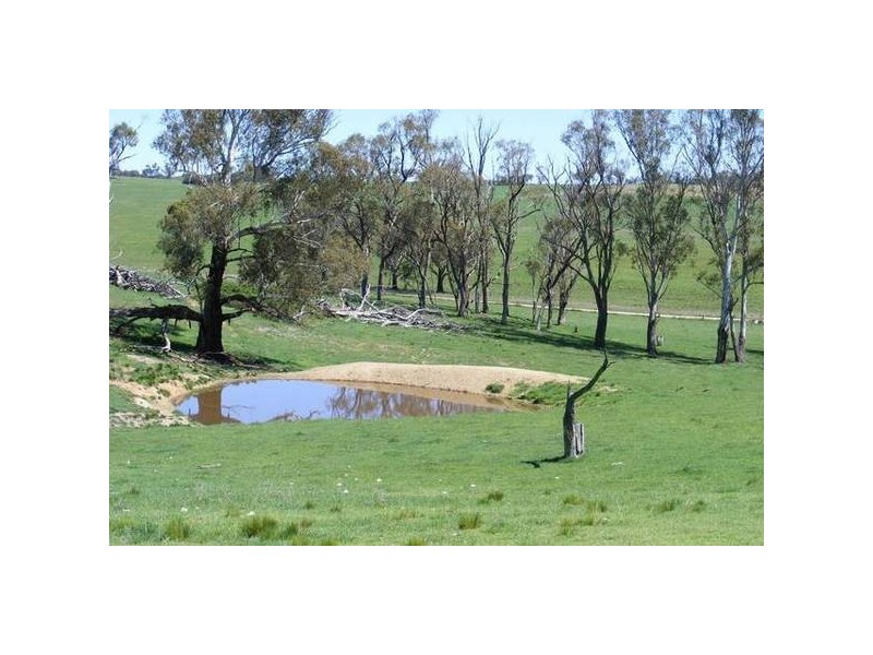 374 Swallows Nest Road, Oberon NSW 2787