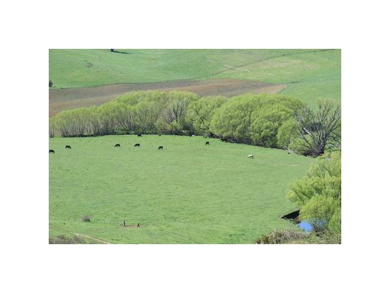 374 Swallows Nest Road, Oberon NSW 2787