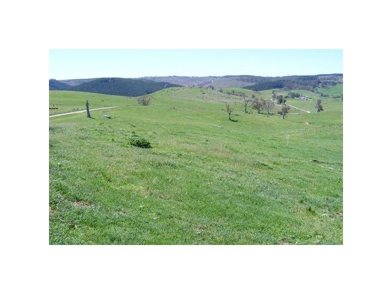 374 Swallows Nest Road, Oberon NSW 2787