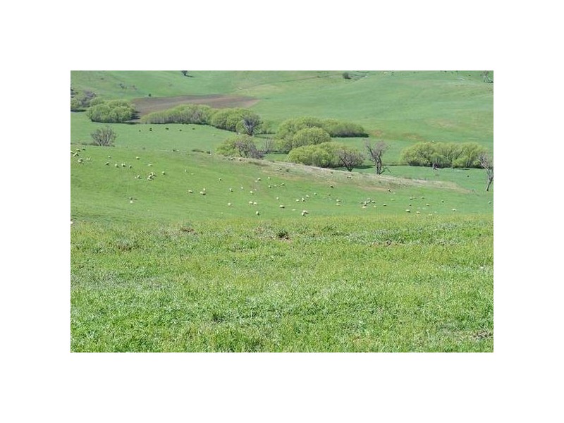 374 Swallows Nest Road, Oberon NSW 2787