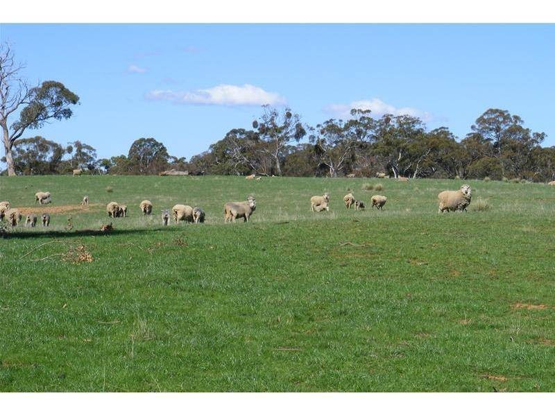 Black Springs NSW 2787