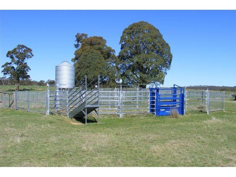 Black Springs NSW 2787