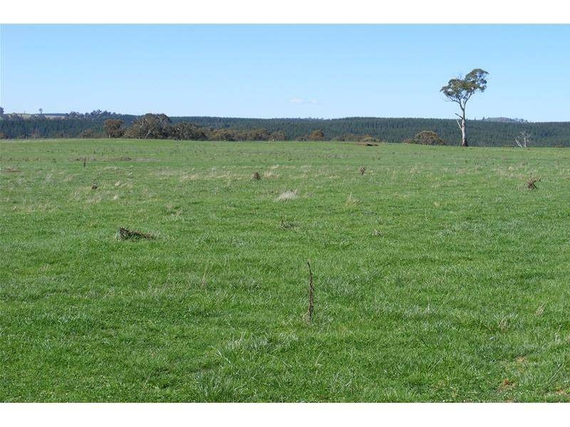 Black Springs NSW 2787