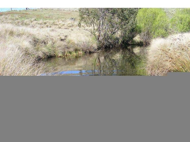 Black Springs NSW 2787