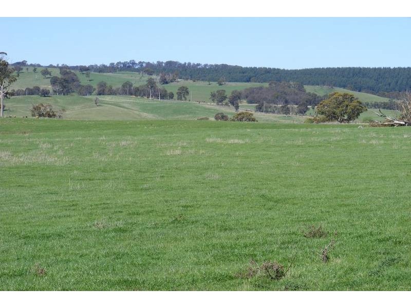 Black Springs NSW 2787