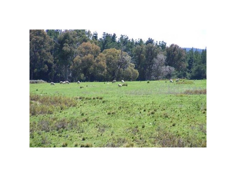 Burraga NSW 2795