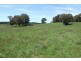 Oberon NSW 2787