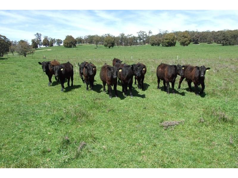 Oberon NSW 2787