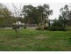 Black Springs NSW 2787