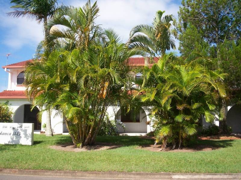 3/11 Clipper Street, Bongaree QLD 4507