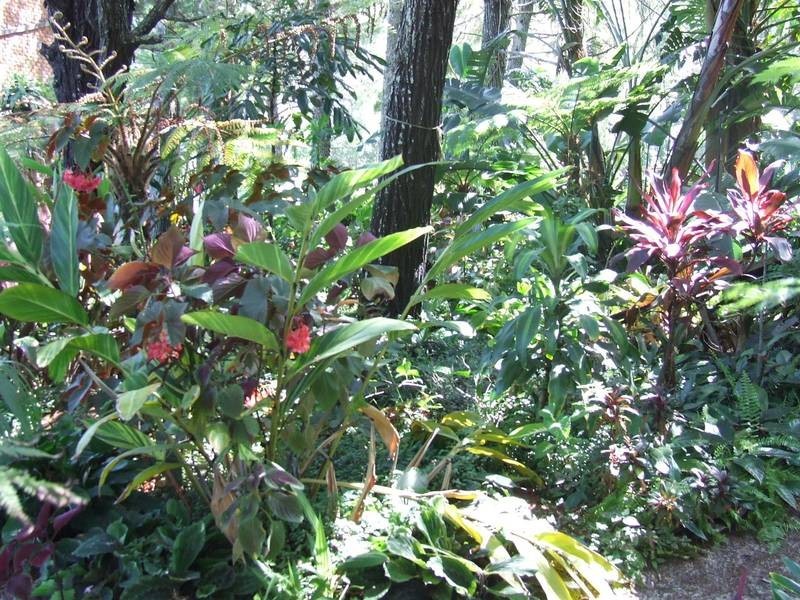 Banksia Beach QLD 4507