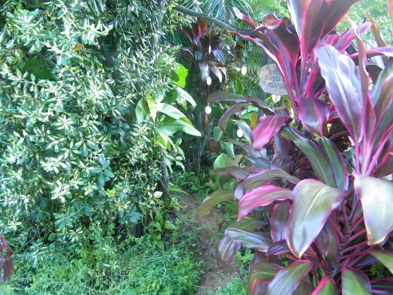 16 Hoya Crescent, Bribie Island QLD 4507