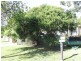 Bongaree QLD 4507