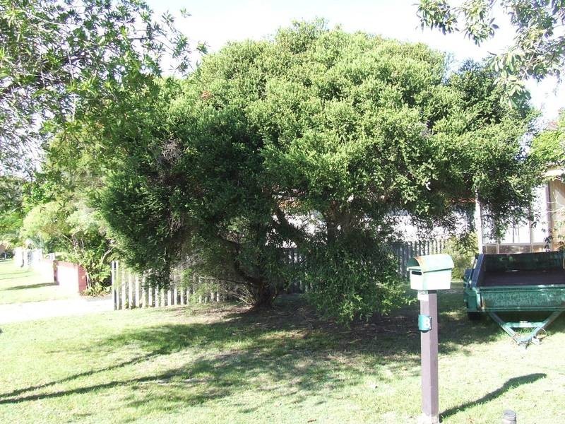 Bongaree QLD 4507