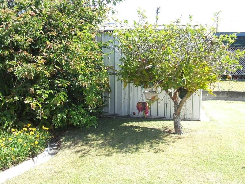 6 Penguin Street, Bongaree QLD 4507