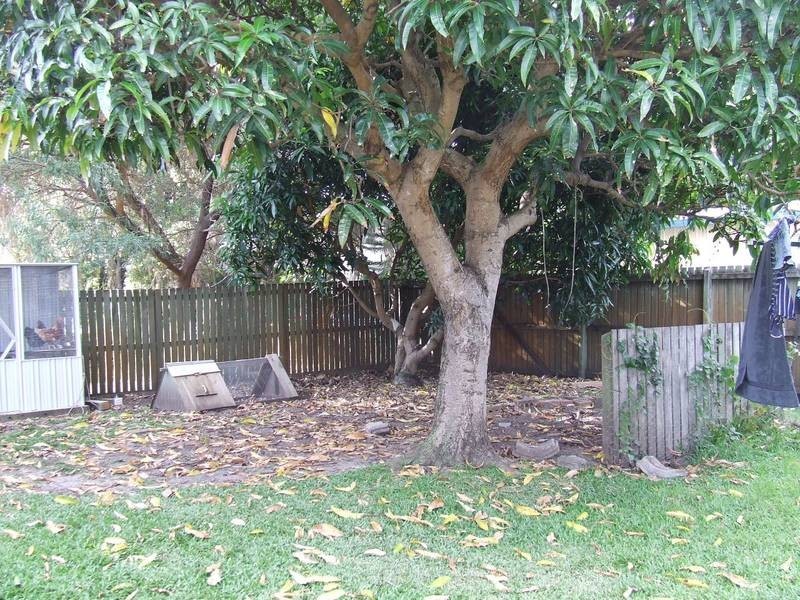10 Callitris Street, Bellara QLD 4507