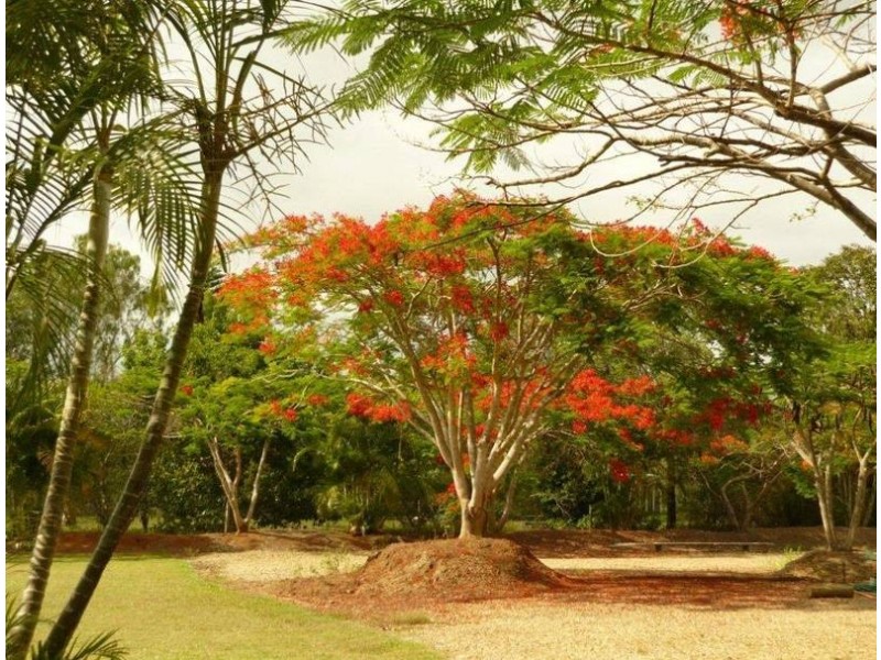 Upper Caboolture QLD 4510