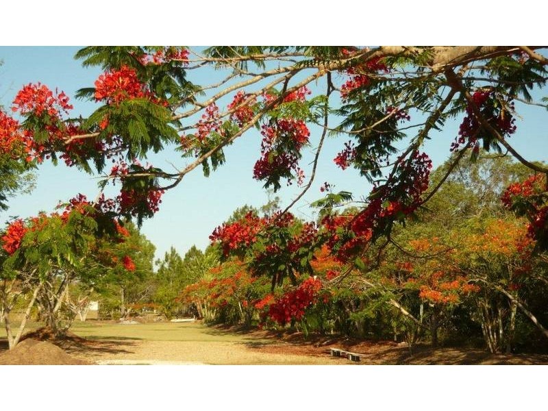 Upper Caboolture QLD 4510