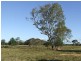 Beachmere QLD 4510