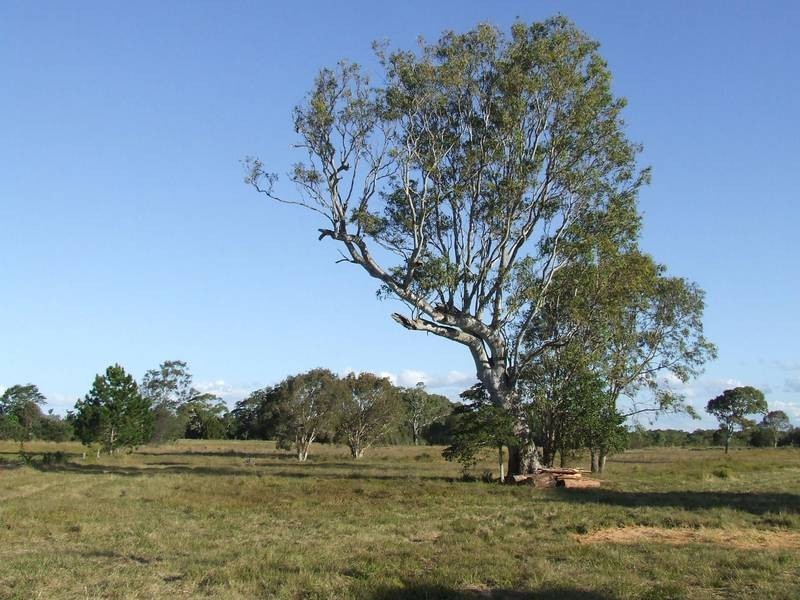 Beachmere QLD 4510