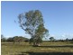 Beachmere QLD 4510