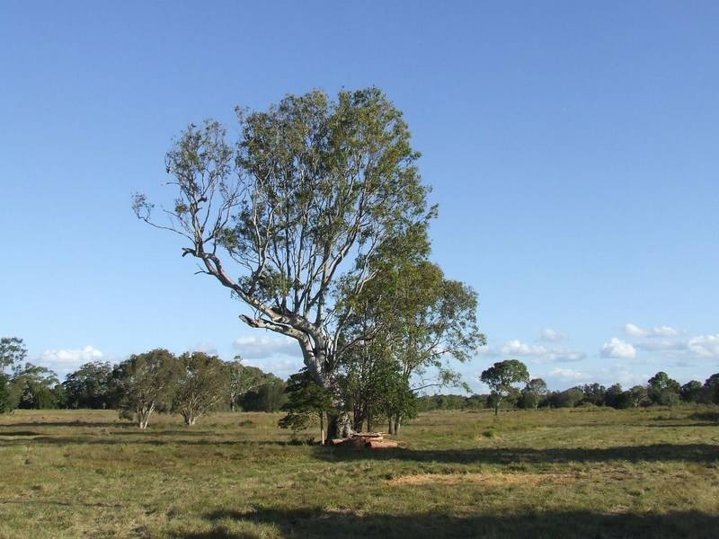 Beachmere QLD 4510