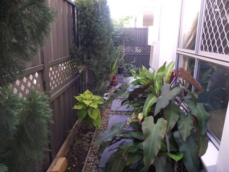 Bongaree QLD 4507