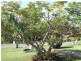 40 Ford Street, Bongaree QLD 4507