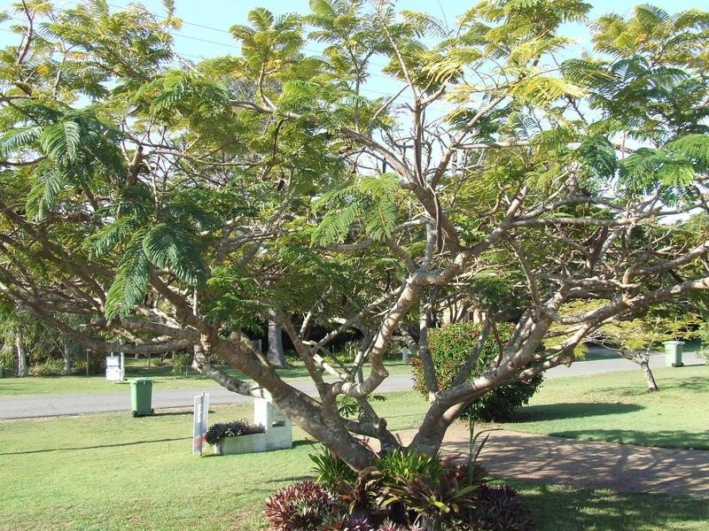 40 Ford Street, Bongaree QLD 4507