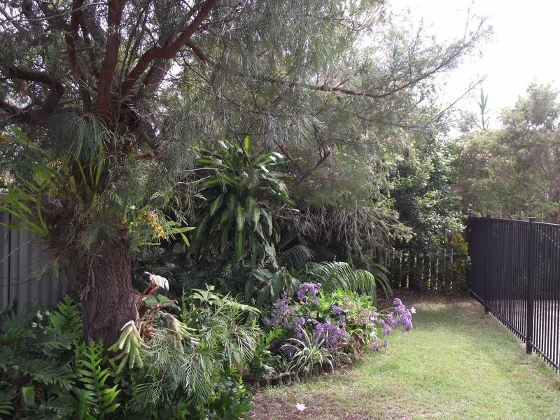 19 Jacaranda Street, Bongaree QLD 4507