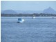 Bribie Island QLD 4507